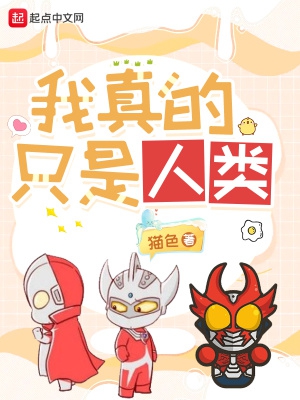 我真的只是替补啊txt